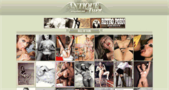 Desktop Screenshot of antiquetwat.com